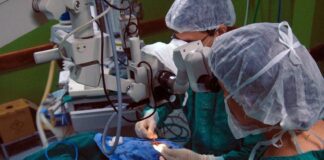 Risco cardíaco dobra para pacientes com doença de Chagas após cirurgia