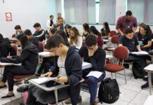 Educação financeira pode ser incluída no currículo escolar