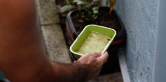 El Niño pode aumentar casos de chikungunya e dengue no Brasil