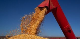 IBGE prevê safra de 347,4 milhões de toneladas para 2026