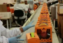 Cacau Show abre vaga de emprego com veículo da empresa e pacote completo de benefícios; veja como se candidatar