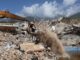 Número de mortos pelos terremotos na Venezuela sobe para 3.811 Número de mortos pelos terremotos na Venezuela sobe para 3.811