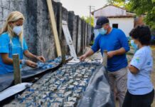 Produção De Sementeiras Impulsiona Restauração De Corais Na Baía De Todos-os-Santos Produção De Sementeiras Impulsiona Restauração De Corais Na Baía De Todos-os-Santos
