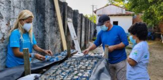 Produção De Sementeiras Impulsiona Restauração De Corais Na Baía De Todos-os-Santos Produção De Sementeiras Impulsiona Restauração De Corais Na Baía De Todos-os-Santos