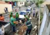 Quer Uma árvore Na Calçada De Casa? Saiba Como Solicitar O Plantio Gratuito Quer Uma árvore Na Calçada De Casa? Saiba Como Solicitar O Plantio Gratuito