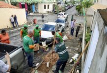 Quer Uma árvore Na Calçada De Casa? Saiba Como Solicitar O Plantio Gratuito Quer Uma árvore Na Calçada De Casa? Saiba Como Solicitar O Plantio Gratuito