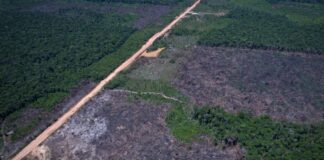 Eco Invest Brasil promove quinto leilão para financiar inovação