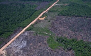 Eco Invest Brasil promove quinto leilão para financiar inovação