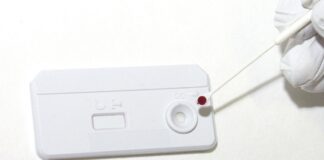 OMS divulga relatório de enfrentamento ao HIV, hepatites virais e ISTs