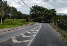 Tempestade Com Ventos Acima De 110 Km/h Deixa Mortos E Causa Destruição No Sudeste