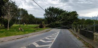 Tempestade Com Ventos Acima De 110 Km/h Deixa Mortos E Causa Destruição No Sudeste