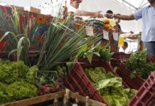 Decreto adia exigência de CNPJ para autônomos e produtores rurais