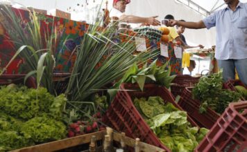 Decreto adia exigência de CNPJ para autônomos e produtores rurais
