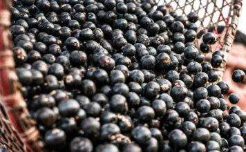 China facilita exportação de polpas e frutas congeladas brasileiras