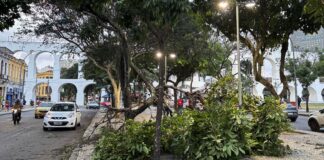 Vendaval ainda causa danos a moradores do Rio de Janeiro