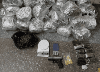 Ação Da Rondesp RMS Localiza Drogas E Simulacro De Arma Na Região Metropolitana Ação Da Rondesp RMS Localiza Drogas E Simulacro De Arma Na Região Metropolitana