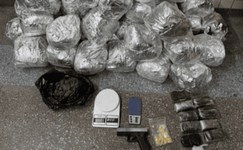 Ação Da Rondesp RMS Localiza Drogas E Simulacro De Arma Na Região Metropolitana Ação Da Rondesp RMS Localiza Drogas E Simulacro De Arma Na Região Metropolitana