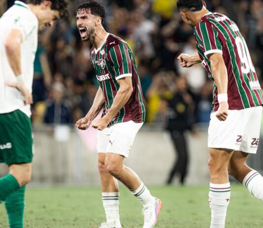 Fluminense encerra jejum e bate Palmeiras de virada no Brasileirão Fluminense encerra jejum e bate Palmeiras de virada no Brasileirão