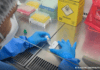 Anvisa Atualiza Regras Para Laboratórios De Controle Sanitário