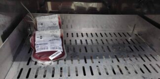 Nova Lei Cria Campanha Para Reforçar Estoques De Sangue No País; Veja Como Será Nova Lei Cria Campanha Para Reforçar Estoques De Sangue No País; Veja Como Será