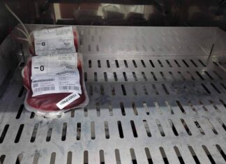 Nova Lei Cria Campanha Para Reforçar Estoques De Sangue No País; Veja Como Será Nova Lei Cria Campanha Para Reforçar Estoques De Sangue No País; Veja Como Será