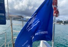 Observação De Baleias Consolida Salvador Como Referência Em Turismo De Natureza Observação De Baleias Consolida Salvador Como Referência Em Turismo De Natureza