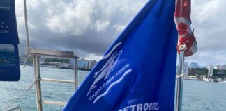 Observação De Baleias Consolida Salvador Como Referência Em Turismo De Natureza Observação De Baleias Consolida Salvador Como Referência Em Turismo De Natureza