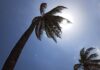 Sol Forte Acende Alerta Em Cidades Baianas Neste Fim De Semana; Veja Os Cuidados Sol Forte Acende Alerta Em Cidades Baianas Neste Fim De Semana; Veja Os Cuidados