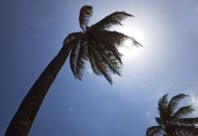 Sol Forte Acende Alerta Em Cidades Baianas Neste Fim De Semana; Veja Os Cuidados Sol Forte Acende Alerta Em Cidades Baianas Neste Fim De Semana; Veja Os Cuidados