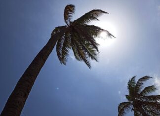 Sol Forte Acende Alerta Em Cidades Baianas Neste Fim De Semana; Veja Os Cuidados Sol Forte Acende Alerta Em Cidades Baianas Neste Fim De Semana; Veja Os Cuidados