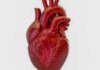 A cada 72 segundos, uma pessoa morre por doença cardiovascular no país