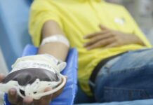 Novas regras para doação de sangue no país entram em vigor em outubro