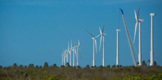 Projeto mapeia caminhos para economia verde no Nordeste