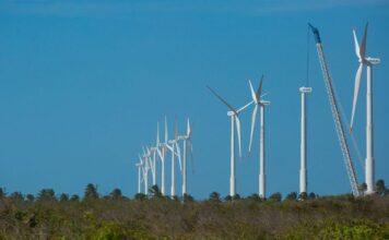 Projeto mapeia caminhos para economia verde no Nordeste