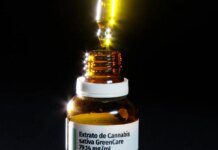 Autorizações para importação de cannabis aumentam 29% em 2026