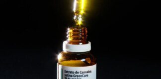 Autorizações para importação de cannabis aumentam 29% em 2026