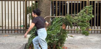 Ciclone extratropical: RJ suspende aulas e tornado é registrado no RS