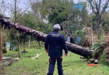 Região Sul deve sofrer menos efeitos de ciclone bomba a partir de hoje