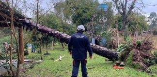 Região Sul deve sofrer menos efeitos de ciclone bomba a partir de hoje