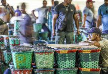Dia do Feirante celebra ofício que movimenta economia popular