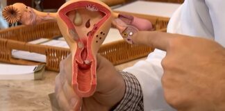 Aberta chamada pública para pesquisas sobre endometriose
