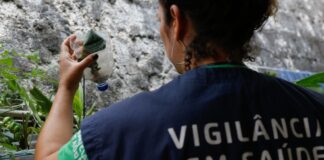 São Paulo tem mais de 58 mil casos de dengue desde o início do ano