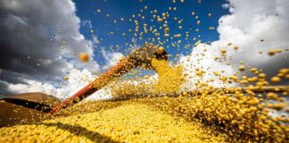 Produção agrícola brasileira superou R$ 927 bilhões em 2025