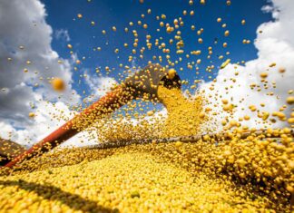 Produção agrícola brasileira superou R$ 927 bilhões em 2025