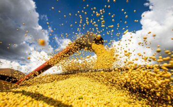 Produção agrícola brasileira superou R$ 927 bilhões em 2025