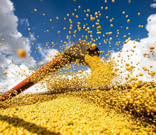 Produção agrícola brasileira superou R$ 927 bilhões em 2025