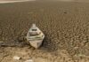Dia da Amazônia é celebrado com El Niño e alerta de seca intensa