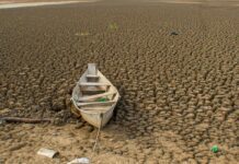 Dia da Amazônia é celebrado com El Niño e alerta de seca intensa
