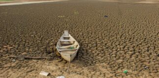 Dia da Amazônia é celebrado com El Niño e alerta de seca intensa
