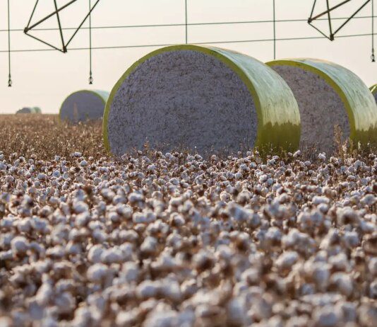 Entenda mudança no mapa que tirou Sorriso do topo da produção agrícola